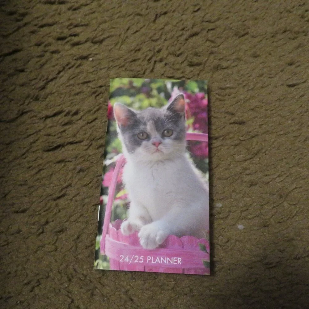 Willow Creek Cute as a KItten 2024-25 2 Year Calendar Planner 3 x 6 NEW